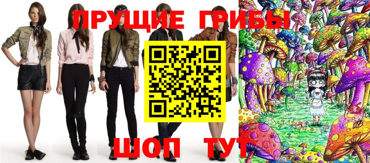 Галлюциногенные грибы Cubensis  где можно купить наркотик  Галлюциногенные грибы Psilocybe  Ачинск  Вход с VPN 