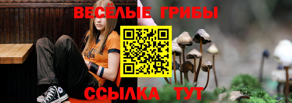 Псилоцибиновые грибы Cubensis  Ачинск 