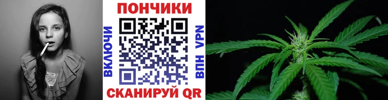 Шишки марихуана марихуана  Ачинск 